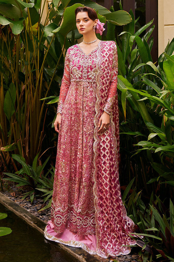 CUPID | Stardust Wedding Festive | MUSHQ
