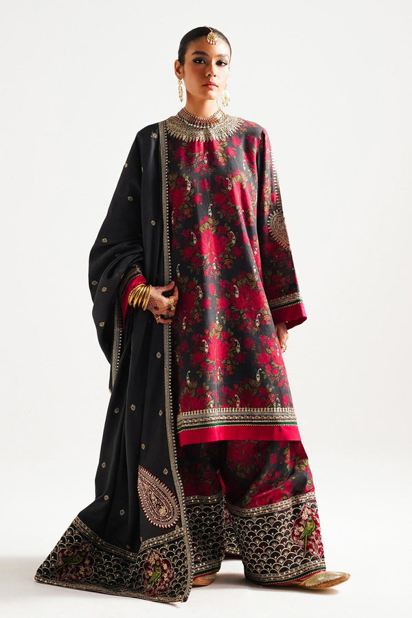 D3 | Winter Shawl '23 | Zara Shahjahan
