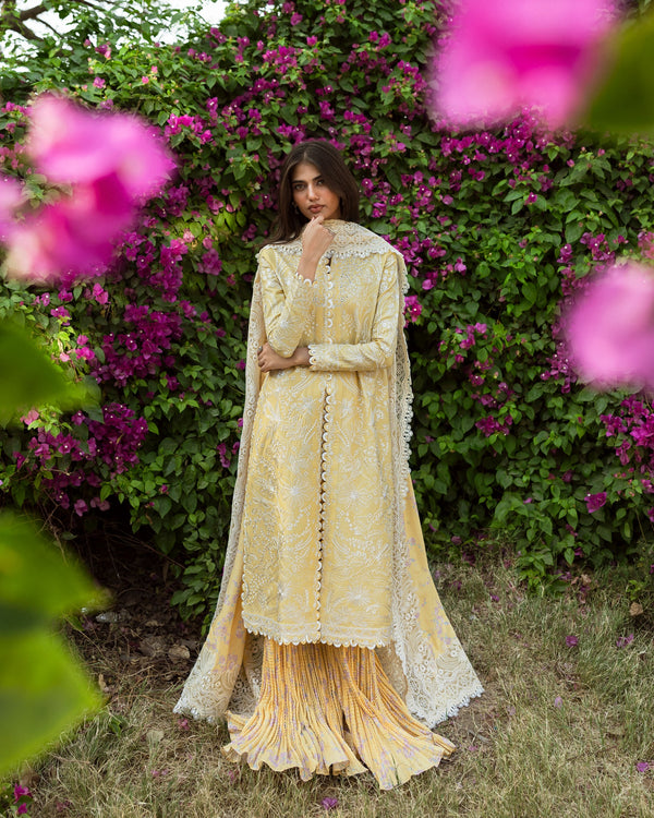 TAQDEER I Mulaqaat Festive Lawn 25 I AFROZEH