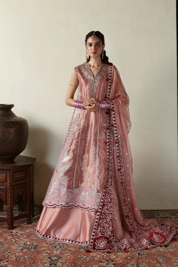 Roshaan I SHEHNAI WEDDING FORMALS'25 I Afrozeh
