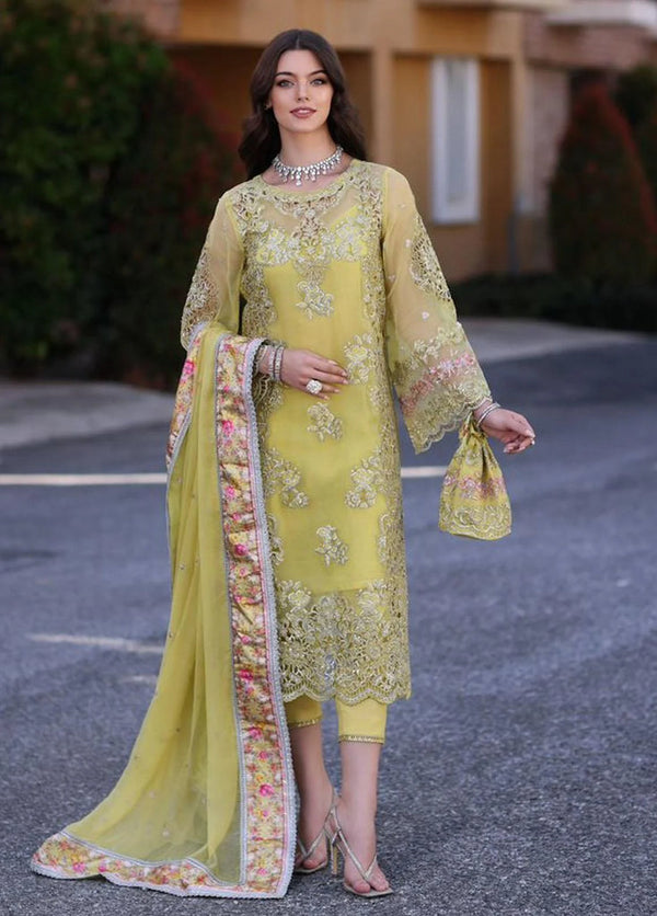 MINALI - D4 | Chiffon Handwork Schiffli Laser Kari Collection '23 | Noor By Saadia Asad