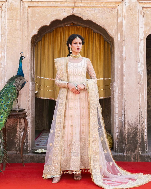 Naaz I Arzu Festive Unstitched Collection I Zarqash